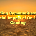 Building Communities: The Social Impact of On-line Gaming