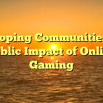 Developing Communities: The Public Impact of Online Gaming