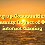 Setting up Communities: The Community Impact of On the internet Gaming