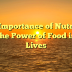 The Importance of Nutrition and the Power of Food in Our Lives